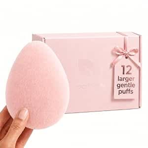 Earth & I - Gentle Facial Exfoliating Sponge 12 Pack – AeroSilk Micro Mesh Face Scrubber Puff, Reusable Daily Face Scrub, Deep Cleansing Skin Buffer, buf puf Facial Sponges for Washing Face