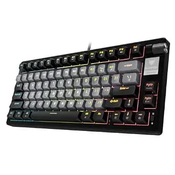 EvoFox Ronin Wired Mechanical Gaming Keyboard | 9 Layer Gasket Sound Dampening Design, Outemu Red Silent Switches, Hot Swappable, Per-Key RGB, nKey Rollover, Volume Knob | Windows Software (Black)