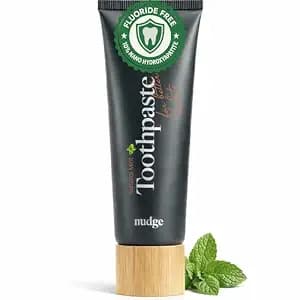 Nudge 10% Nano Hydroxyapatite Toothpaste, Enamel Friendly Advanced Clean, Vitamin E, Fluoride-Free, SLS-Free, Mint, 4.5 oz
