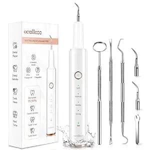 Plaque Remover for Teeth, Electric Tooth Cleaner Tartar Remover for Teeth with LED Light,4 Modes Rechargeable Teeth Cleaning Kit with Dental Tools, 2 Replaceable Heads (White A)