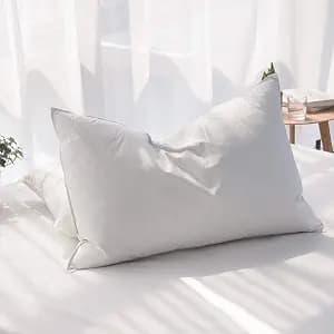 Luxury Feathers Down Pillows Queen Size Set of 2, Hotel Quality Fluffy Bed Pillows, Soft Pillows for Sleeping, Cotton Cover(20x28”, Pack of 2)