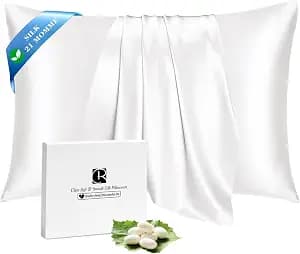 Ravmix 100% Silk Pillow Cases with Zipper, 21 Momme Mulberry Silk Pillowcase for Hair Skin Health, Soft Smooth Breathable Cool Pillow Cover for Beauty Sleep(Standard 20"x26", Ivory White) 1PC