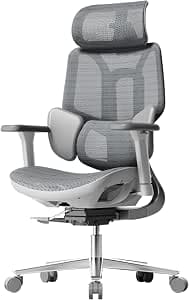 Hbada E3 Ergonomischer Bürostuhl, Bürostuhle mit Verstellbarer Hoher Rückenlehne, Lordosenstütze, 3D Kopfstütze, 3D Armlehnen, Netzstuhl, Grau