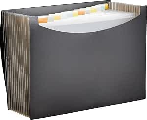 AmazonBasics A4 document holder, compartment folder - black