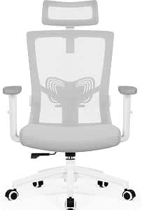 Daccormax Office Chair, Ergonomic Office Chair with Adjustable Headrest, Lumbar Support and Armrests, Desk Chair, Swivel Chair, Rocker Function, Executive Chair, Back-friendly 150 kg