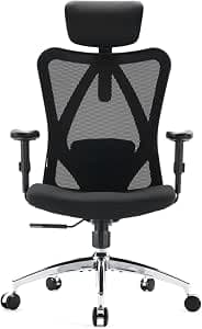 SIHOO Office Chair, Desk Chair Ergonomic Chair with Lumbar Support for Headrest and Adjustable Armrest, High Mesh Backrest, Maximum Load 150 kg
