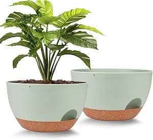Vanslogreen Plant Pots 12inch Self Watering Pots, Set of 2 Plastic Planters with Drainage Holes and Saucers, Flower Pots for Indoor Outdoor Plants (Green)