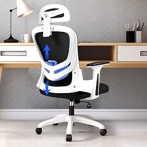 LEVIPE Ergonomic Office Chair, Office Chair with Lumbar Support, Adjustable Backrest and Headrest, Breathable Mesh Seat Suitable for Home, Office, Reading