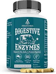 Ancestral Supplements Digestive Enzymes for Women & Men, 90 Capsules, with Probiotics and Grass Fed Beef Organs, Supports Gut Health, Digestive Health & Nutrient Absorption, Allergen Free, Non GMO