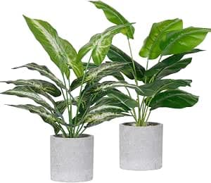 Der Rose 2 Pack Artificial Potted Plants for Office, Desk, Home, Farmhouse Decor