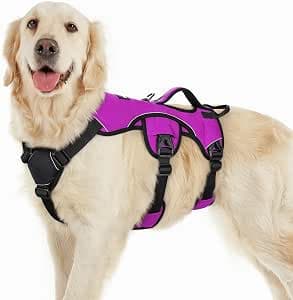 rabbitgoo Escape-Proof Dog Harness Large Dog with Handle, Anti-Pull Reflective Working Service Pets Vest, Breathable Pets Vest 3 Points, Adjustable Lift Support Body Harness Outdoor, L, Purple
