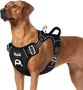 Eyein Dog Harness Large Dog, Anti Pull Adjustable Heavy Duty Pet Vest with 2 Clips, Easy Control Escape Proof Puppy Harness with Soft Padded Handle Reflective for Outdoor Training Walking, L