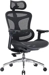 SIHOO Doro C300 Ergonomic Office Chair with Ultra Soft 3D Armrests, Dynamic Lumbar Support for Home Office Chair, Adjustable Backrest Desk Chair, Swivel Big and Tall Computer Chair Black