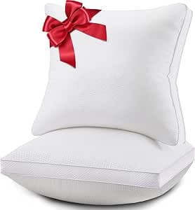 20x20 Premium Down Alternative Pillow Inserts, Set of 2 – Ultra-Plush Throw Pillows with 100% Cotton Cover for Sofa, Couch & Bed – Luxury Machine Washable Cushions